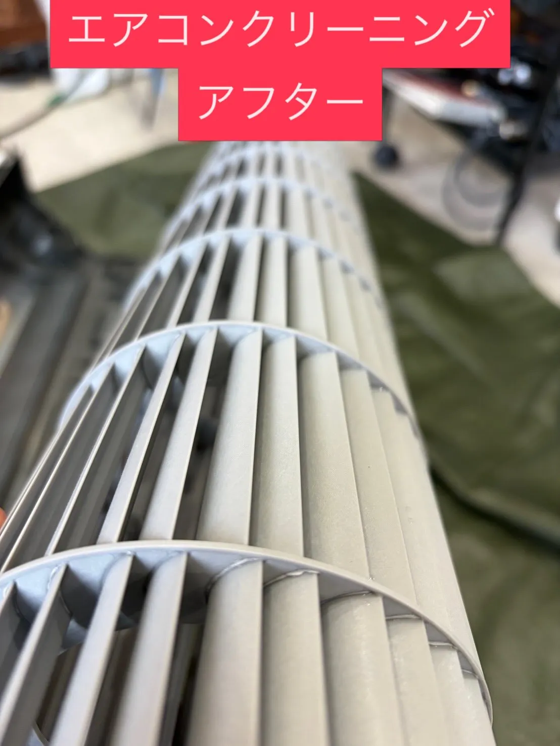 今年も完全分解エアコンクリーニングをお願いしました❗️