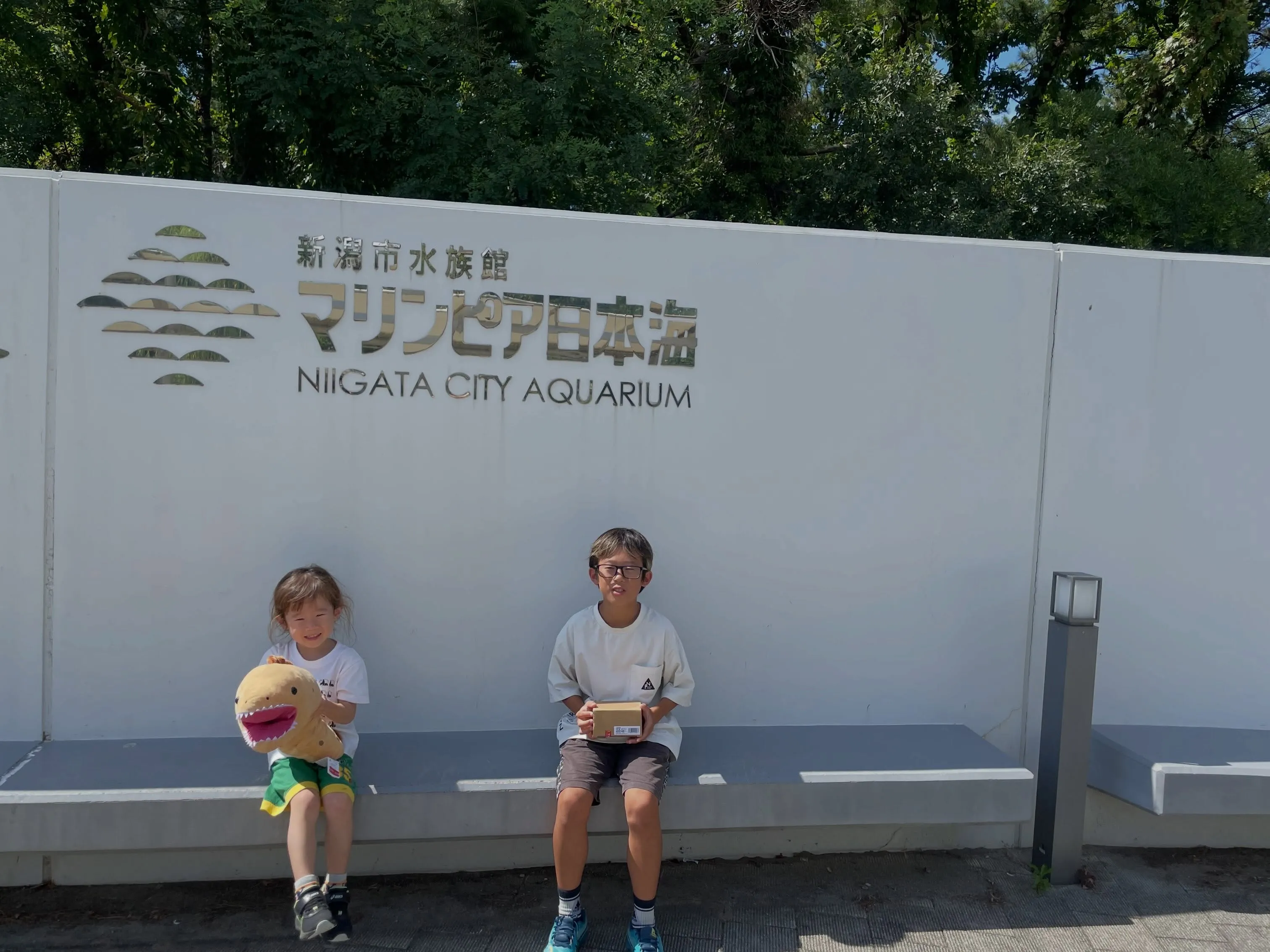 2026.8 夏の思い出☀️